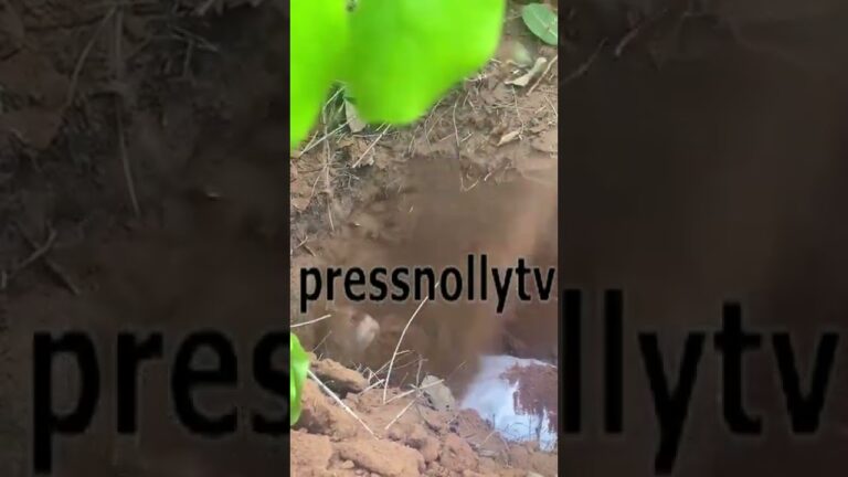 NOLLYWOOD ACTOR BURIED ALIVE FOR A MOVIE ROLE 👀 – NOLLYWOOD BEHIND THE SCENES #Shorts